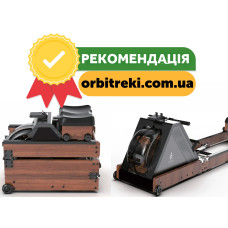 Гребний тренажер Kingsmith WR20 (RMWR20F)